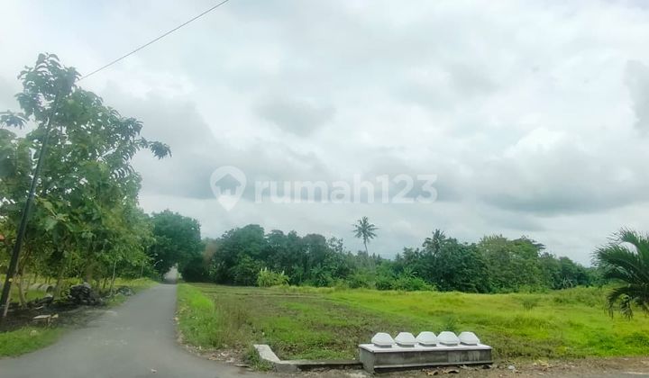 Land Plot Ready to Build for Sale in Godean, Contact Now for Complete Information Land Plot Ready to Build for Sale in Godean, Contact Now for Complete Information