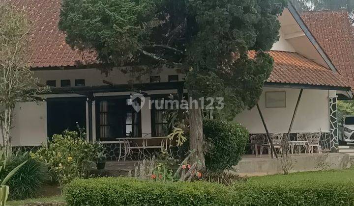 Villa Asri Dengan Lahan Luas 6600 M Cisarua Bogor 1