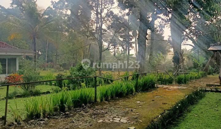 Villa Dengan Lahan Luas 15.000 Meter Ciawi Bogor 1