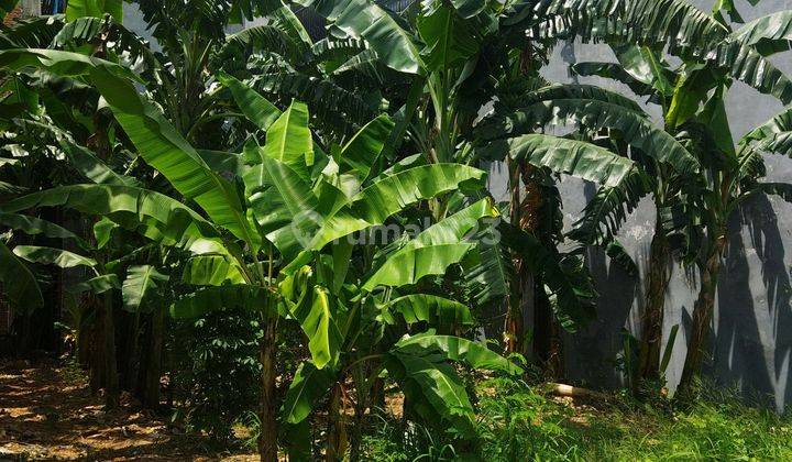 Kavling Dekat Palm Bay Taman Surya Jakarta Barat 1