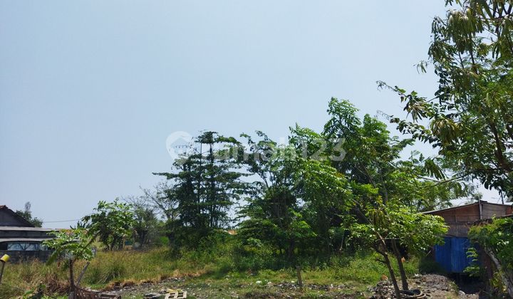 Tanah Dalam Kawasan Pergudangan Salembaran Tangerang 1