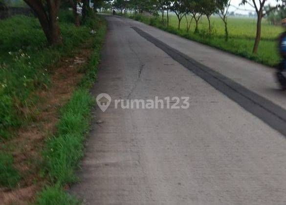 Tanah Kemiri Tangerang  1