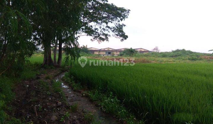 Tanah Kemiri Tangerang  2