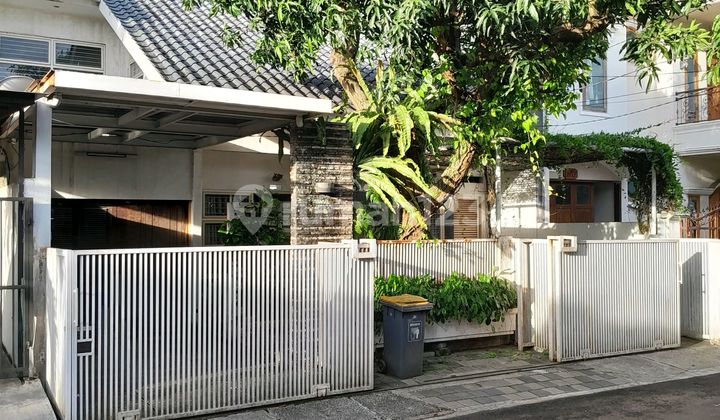 Dijual Cepat Rumah 2 Lantai Bagus Harga Dibawah Pasar Asri Nyaman Siap Huni 2 Lantai Semi Furnish di Nusaloka Bsd