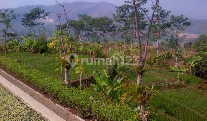 Tanah Siap Bangun Cempaka Mekar Padalarang