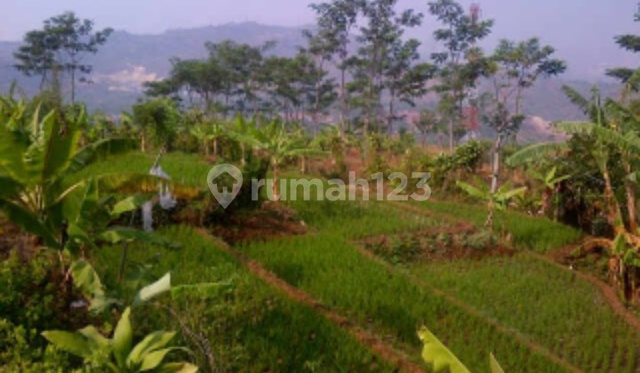Tanah Cempaka Mekar Padalarang
