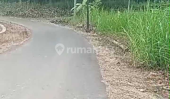 Dijual Tanah Tegalan di Semanu Yogyakarta