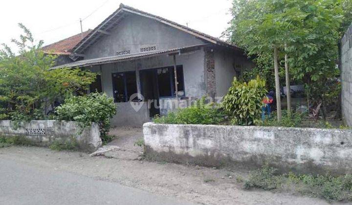 Jual Tanah di Sonopakis Dekat Kampus PGRI Yogyakarta 2