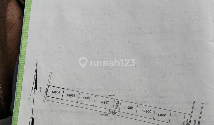 Jual Tanah Jalan Tajem Maguwoharjo 2