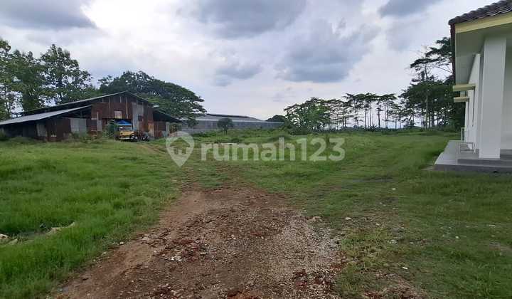 Tanah 1,4 Hektare lokasi dekat Alun-alun Pati Jawa Tengah