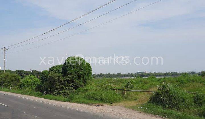 Dijual Tanah Lingkar di Kaliwungu Kendal 2