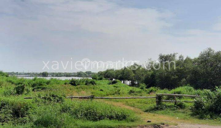 Dijual Tanah Lingkar di Kaliwungu Kendal 1