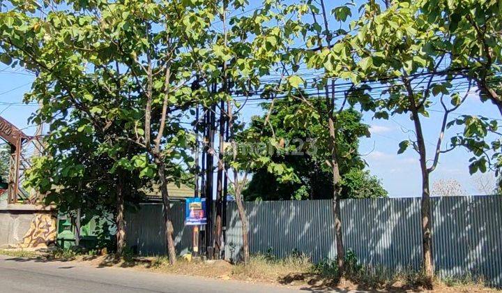 Disewakan Tanah Hm Luas 2,6 Ha, Tembalang Semarang 1