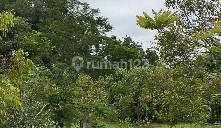 Dijual Ruko Lokasi Bandungan Semarang Kabupaten 2