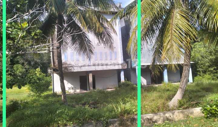 Dijual 3 Rumah Usaha Sarang Burung di Kalimantan Barat