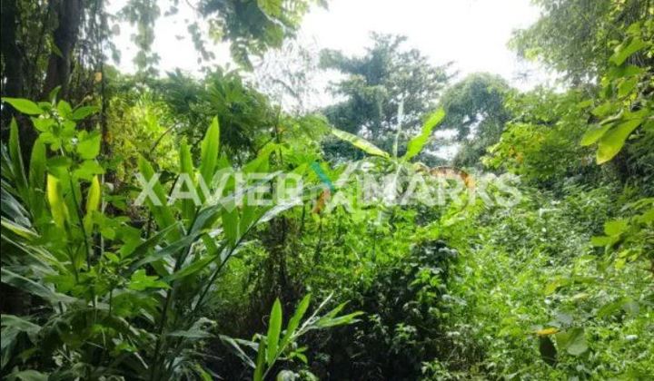 Tanah Posisi Hook di Bawah NJOP Ngaliyan Semarang