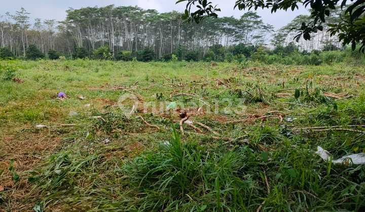 Land for Sale in Duren Location Near Batang Toll Exit Land for Sale in Duren Location Near Batang Toll Exit