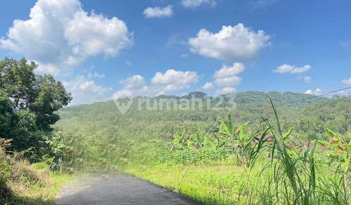 For sale 800k/m2 land, concrete access, located in Pringapus, Semarang Regency. 2