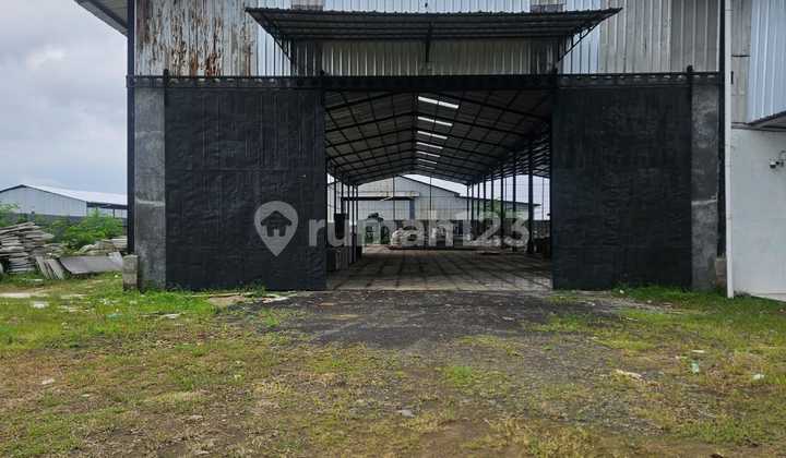 Warehouse for Rent Near Kendal Industrial Area Container Access