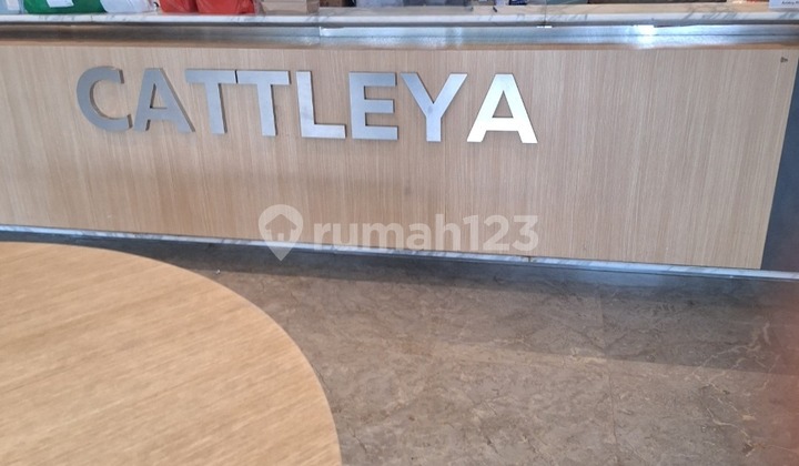 For Quick Sale: Cattleya Studio Type Apartment, Semi-Furnished, Located in BSD Tangerang Banten. For Quick Sale: Cattleya Studio Type Apartment, Semi-Furnished, Located in BSD Tangerang Banten.