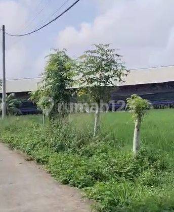 Dijual Tanah Di Desa Blukbuk, Kronjo, Kabupaten Tangerang 2