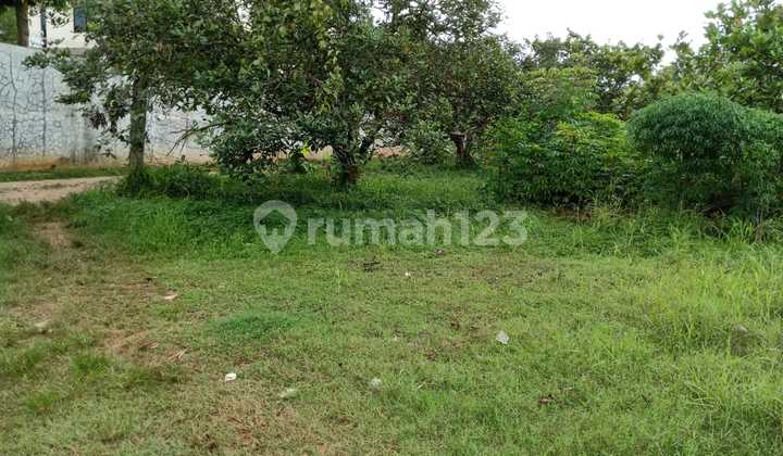 Dijual Tanah Siap Bangun Lokasi Di Ciater Bsd Dijual Tanah Siap Bangun Lokasi Di Ciater Bsd