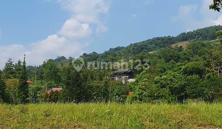 Mountain view land Mountain view land