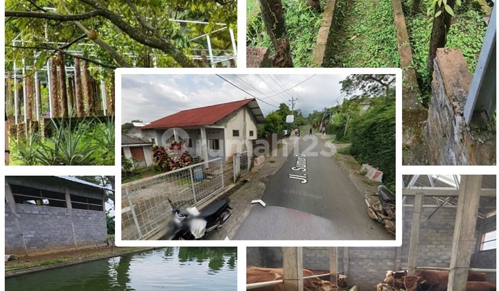 Tanah, SHM, di Ungaran, 1