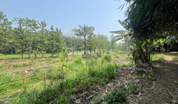 DIJUAL Tanah Di Bojong Jengkol Ciampea Cocok Buat Perumahan 2