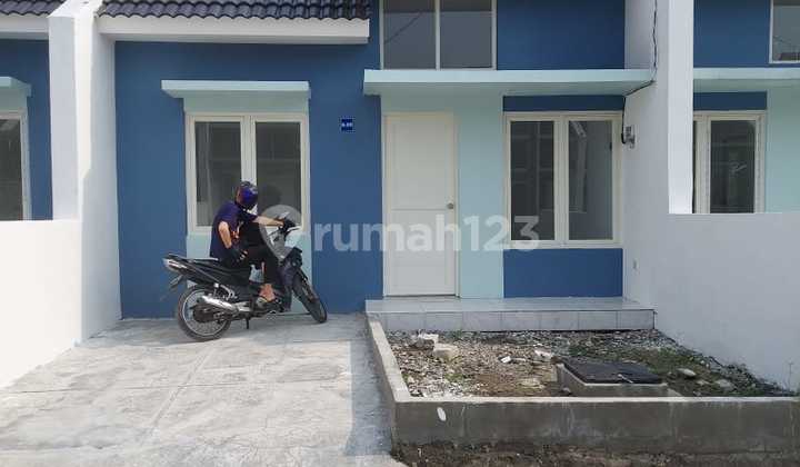 Jual/Sewa Rumah Bagus SHM di Perumahan Green Mansion Sidoarjo Jual/Sewa Rumah Bagus SHM di Perumahan Green Mansion Sidoarjo