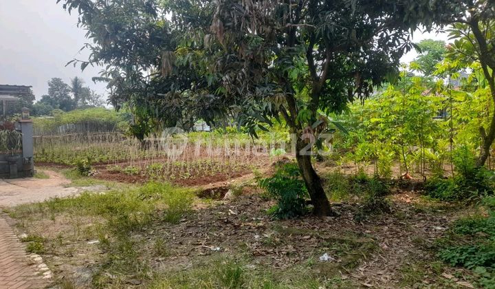 Dijual Cepat Kavling Dekat Dengan Jalan Raya Provinsi Lokasinya Di Cileungsi 