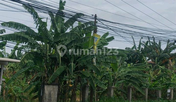 Dijual Cepat Kavling Pinggir Jalan Raya Ciangsana Dekat Toll Nagrak 