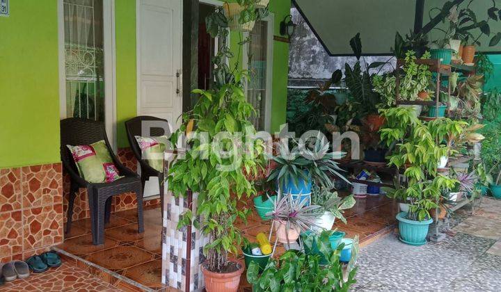 RUMAH MUNGIL CANTIK DI DAERAH SEPINGGAN 2