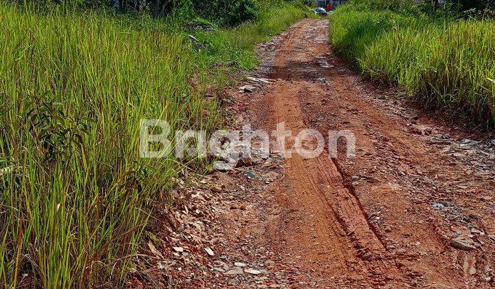 LAHAN DATAR DAN RATA DI  MURAH DISEPINGGAN 2