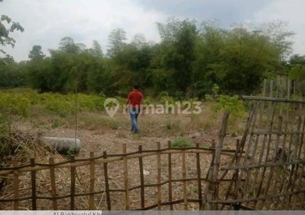 Dijual Lahan perkebunan jambu siap panen di Cibarusa, Kabupaten Bekasi dgn spek  1