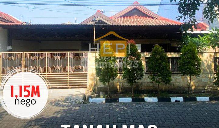 Jual Rumah Siap Huni SHM di Tanah Mas Semarang Utara 1