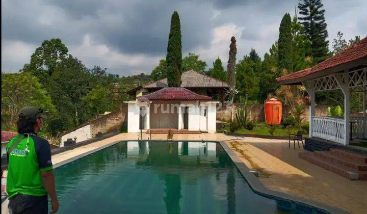 Dijual cepat Vila Megamendung Cisarua Bogor jawa barat luas tanah 5000 m2.  harga 10 M nego di Vila Megamendung Bogor Puncak SHM 1