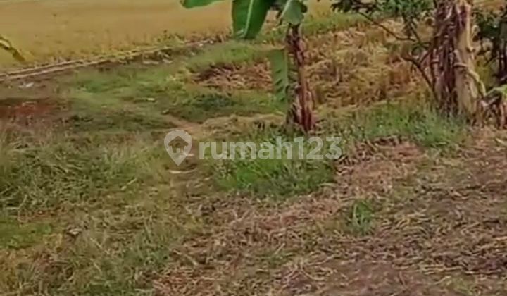 Land in Indramayu Widasari by the Roadside. Suitable for Commercial Use.