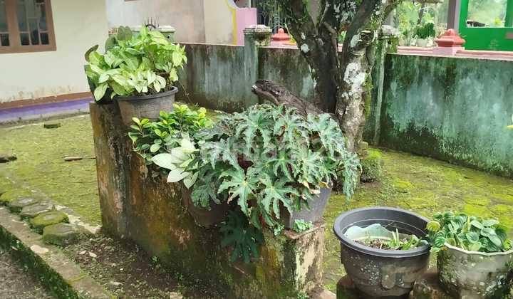 Beautiful, Clean, Ready-to-Live-in House in Tasikmalaya, West Java. 2