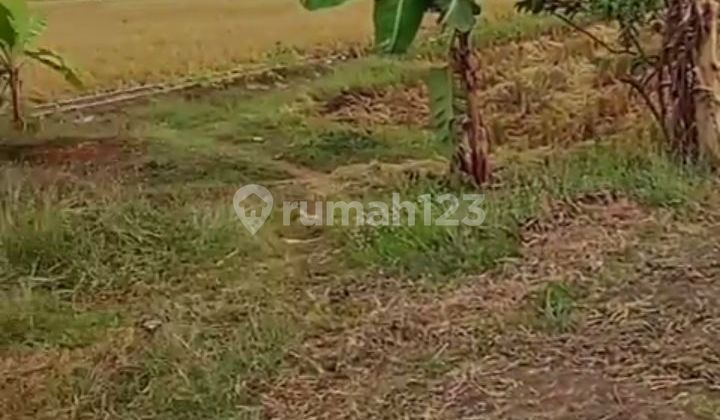 Land in Indramayu Widasari by the Roadside. Suitable for Commercial Use.