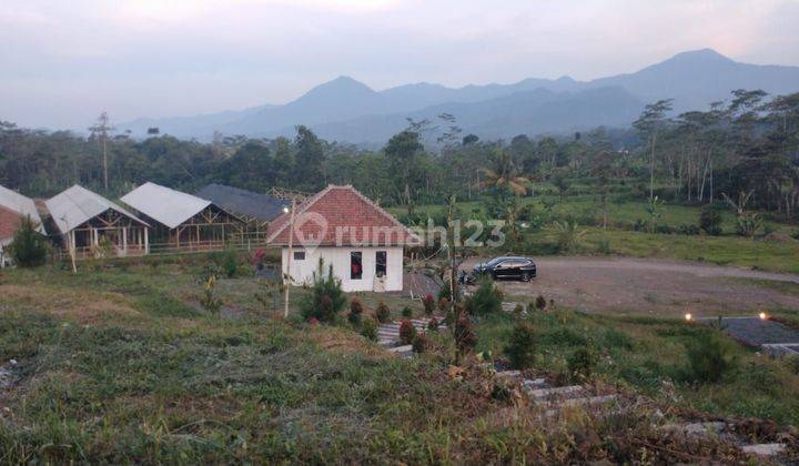 Tanah bangunan dan kandang kosong 6ha di Subang Jawa Barat 1