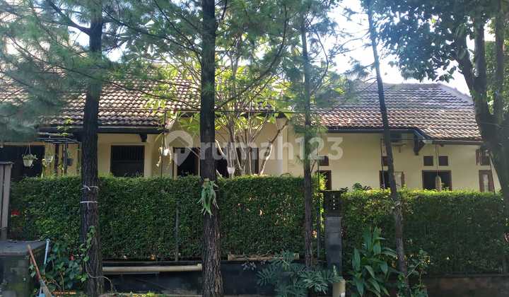 Rumah Luas Dan Asri Di Permata Puri 1 Cimanggis Depok Rumah Luas Dan Asri Di Permata Puri 1 Cimanggis Depok