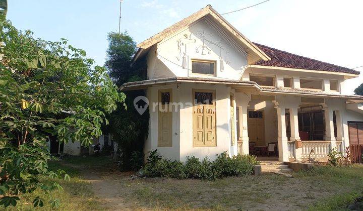 RUMAH INTERIOR CLASSIC BANGUNAN PREMIUM TULUNGAGUNG KOTA 1