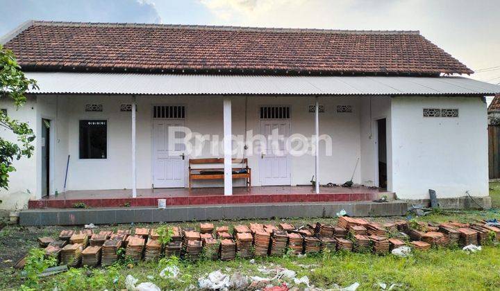 DISEWAKAN RUKO DAN GUDANG EX EXPEDISI. LOKASI SELANGKAH DARI JALAN UTAMA DAN AMAN. 1