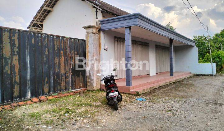 DISEWAKAN RUKO DAN GUDANG EX EXPEDISI. LOKASI SELANGKAH DARI JALAN UTAMA DAN AMAN. 2