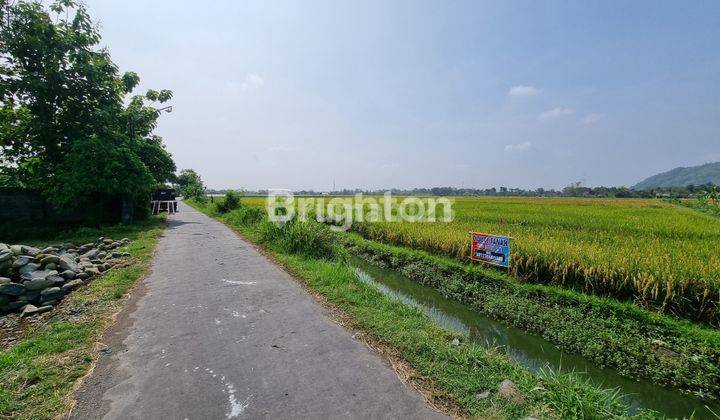 Dijual tanah persawahan di Tulung agung 1
