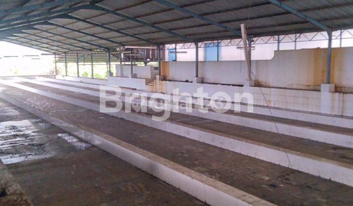 Tanah Ex Pabrik dekat pinggir jalan Purwonegoro Jawa Tengah 1