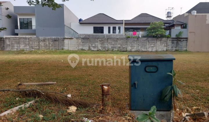 Beautiful Silk Lavender Plot