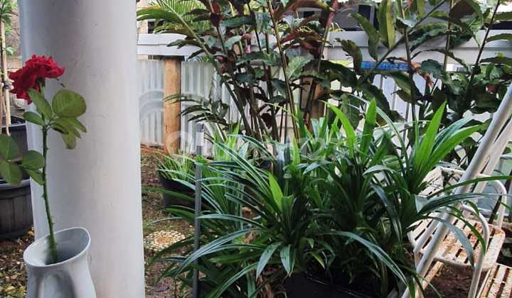 Rumah Murah Kranggan Permai Cibubur Luas Tanah 160 2