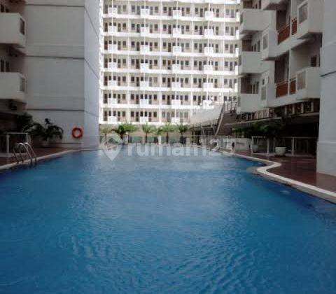 Dijual Apartemen Sentul Tower Furnish View Pool Gunung  1